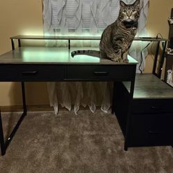 Computer Desk with 4 Drawers, 48 Inch Office Desk with Printer Shelf & Built-in Power Outlet, Work Desk with Monitor Shelf for Home Small Sp