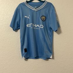 Manchester City 2023/24 kit Haaland