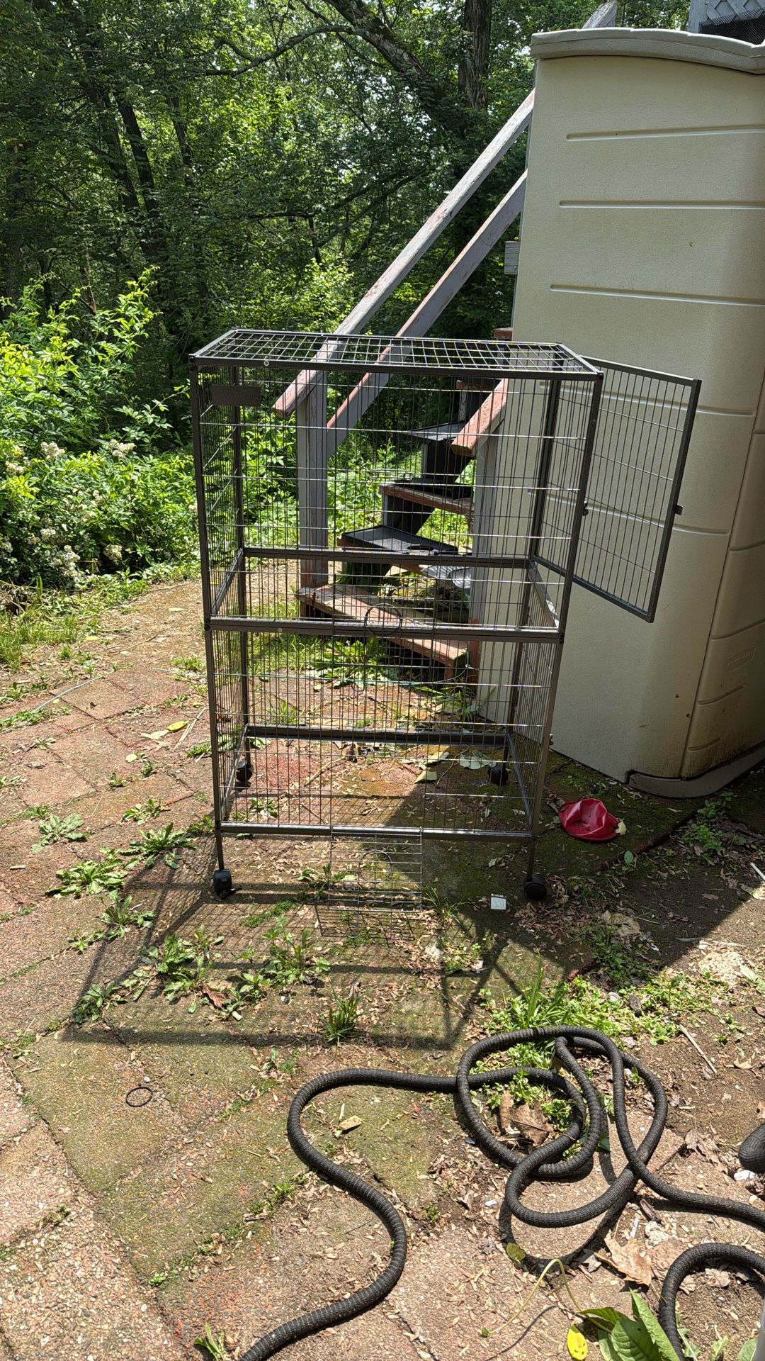 Animal Cage