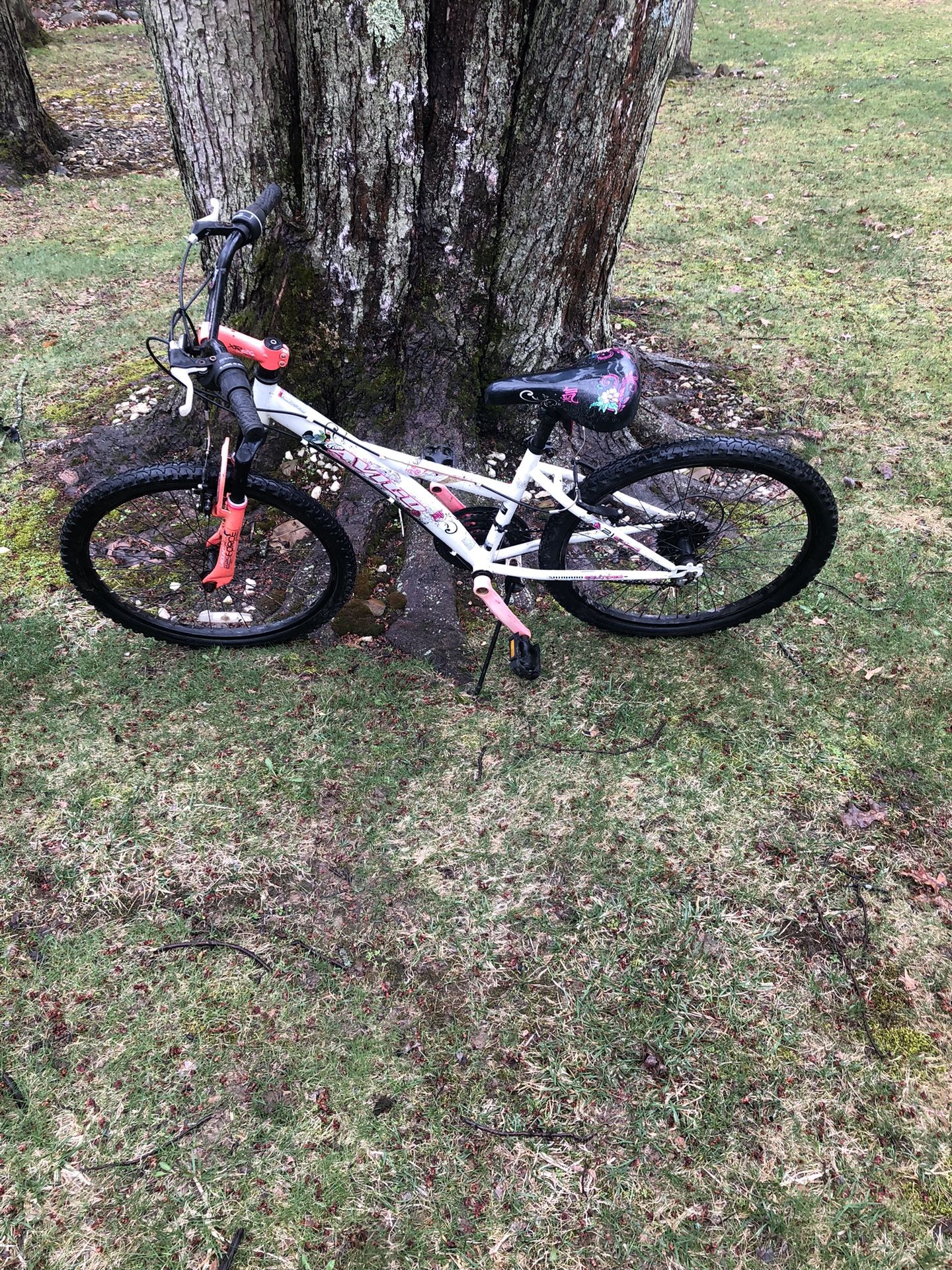 24” Mountain Bike
