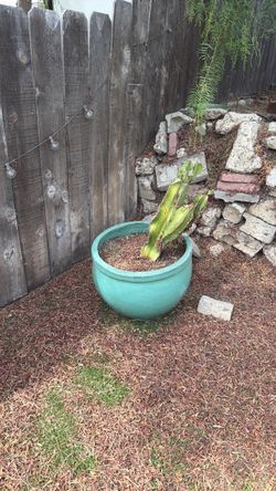 Planter
