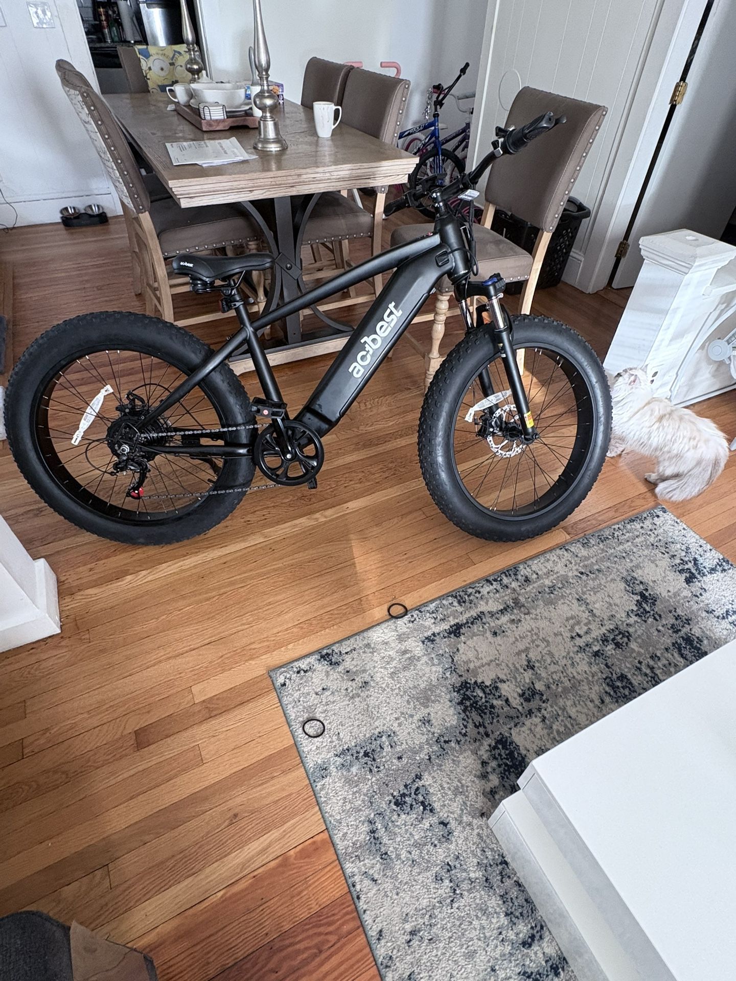 Actbest Ranger Fat Tire Electric Bike 