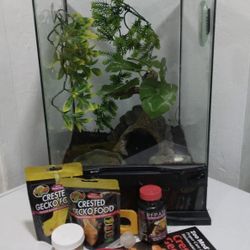18x12x12 Reptile Terrarium Plus Extras Gecko