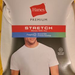 Mens XL Hanes Premium Stretch T-shirts 