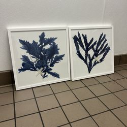 Indigo Coral Painting!! $90