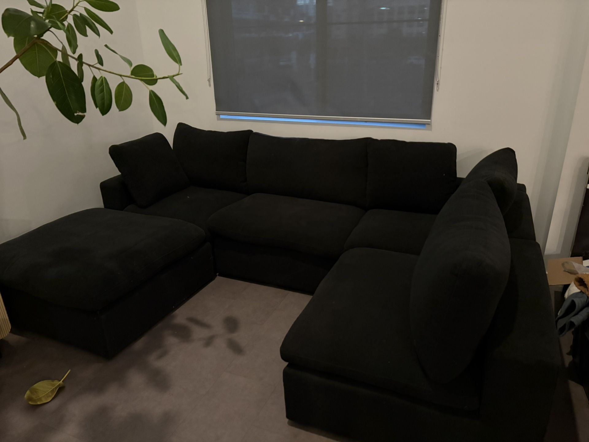 Modern Couch Sectional