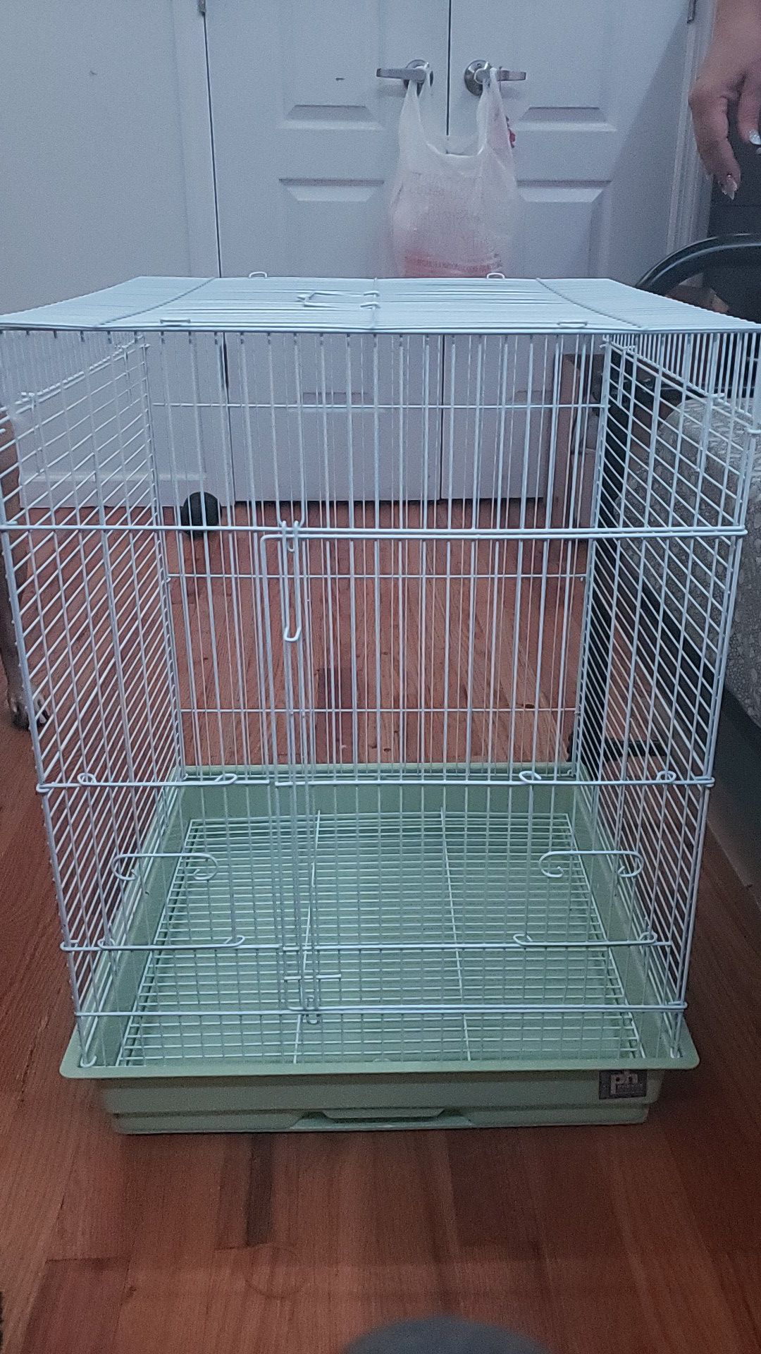 Quaker parrot bird cage with dishes