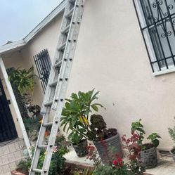 Excellent Condition Aluminum Extension Different Sizes Ladders