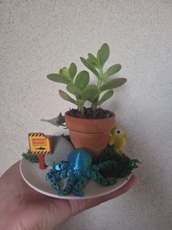 Plant