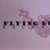 Flying Burro Exchange