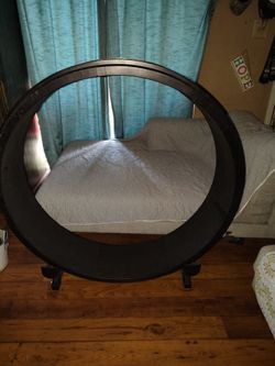 48 inch cat exercise wheel