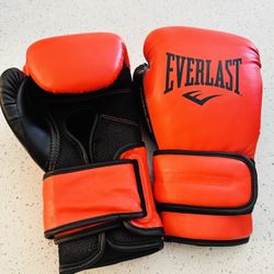Everlast Powerlock Training Adult 16 Oz Gloves 
