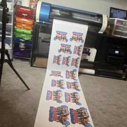 Roland BN20 print and cut