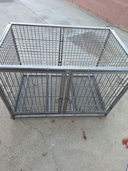 Kennel
