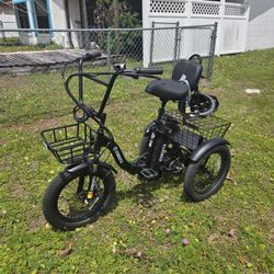 Ebike, Eskute T300
