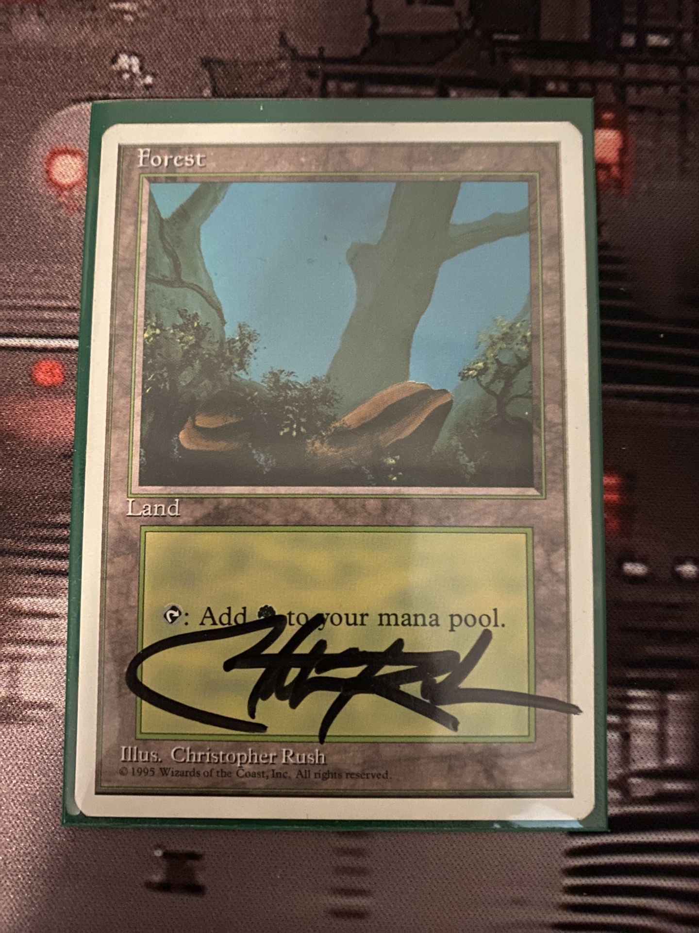 MTG Signed Forest - Christopher Rush
