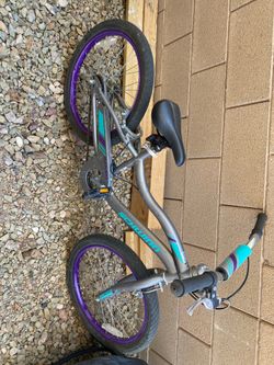 Schwinn girl bike
