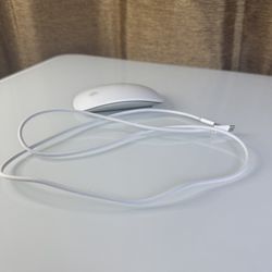 Apple Magic Mouse (Wireless) 