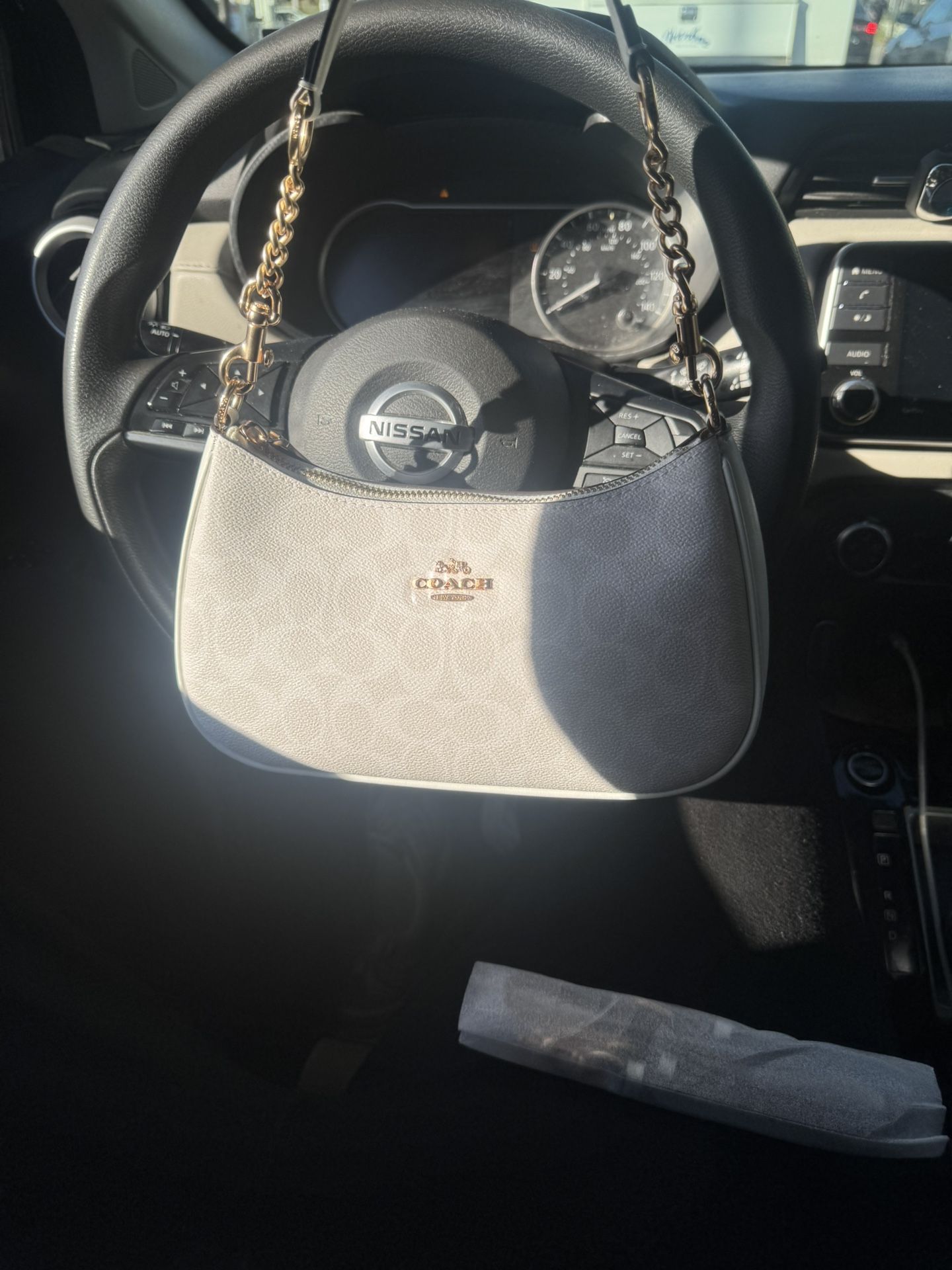 Authentic White Teri Shoulder Bag In Signature Canvas