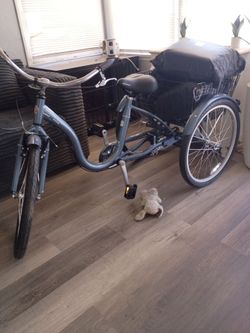 Trike brand new