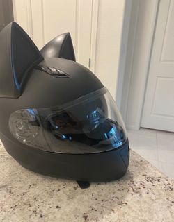 Custom Cat Helmet