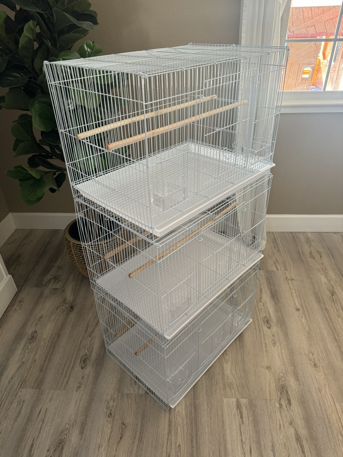Bird Cages