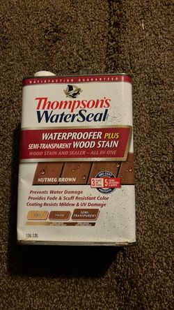 Thompson's WaterSeal Wood Stain 1 Gallon
