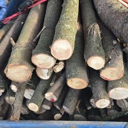 Pine Wood