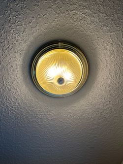 7 Boob lights up for grabs
