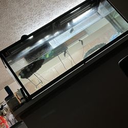 50 Inch.Water Tank 