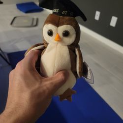 Ty Beanie Baby Collection 