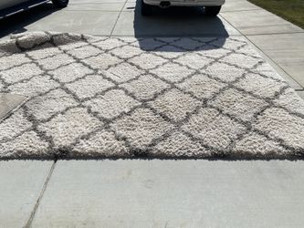 13x15 Lightly used Polar Shag Rug