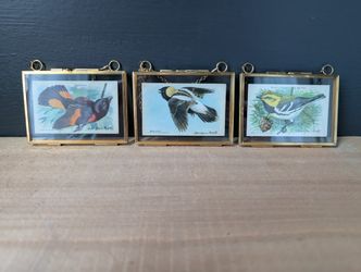 Vintage Authentic Arm And Hammer Bird Identification Cards In Gold Pressed Frames 