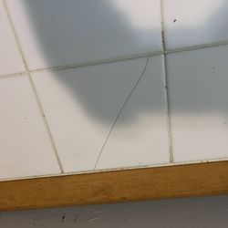 Kitchen Table