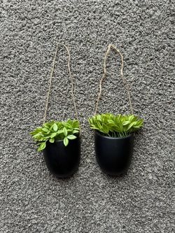 2x Hanging Wall Plants