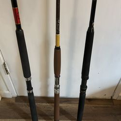 Penn Saber , Shimano , Fenwick Conventional Rods - Each