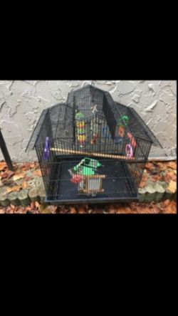 3 roof bird cage with lots of extras