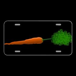License Plate Novelty Car Front Carrot Root Crop Vegetable Orange