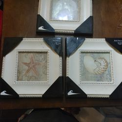 BEACH THEMED PICTURES