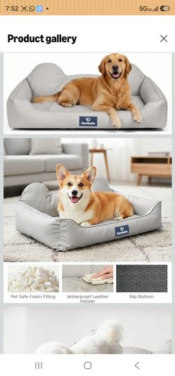 Lionteala EarsUp Dog Bed 43 Inch