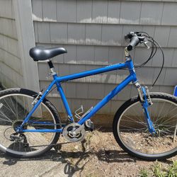 Nishiki Men’s Tamarack Comfort Bike + floor Air Pump – $120