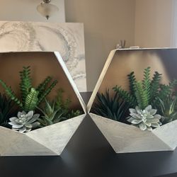 Decorative Succulent Hanging Plant 