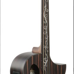 Michael Kelly Dragonfly 4 Port Acoustic-Electric Bass Guitar, Ovangkol Fretless Fingerboard.