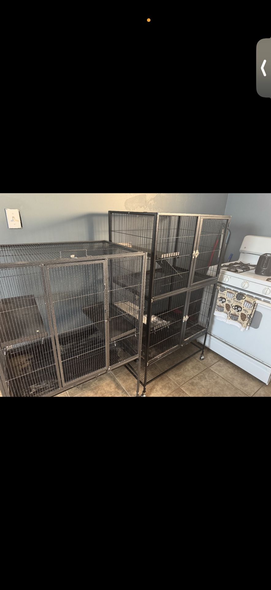 Animal Cages And Balls