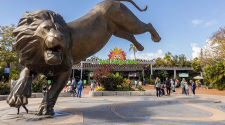 San Diego Zoo And Safari Park Tickets 