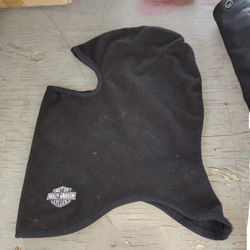 Harley Davidson Skully 