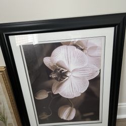 Large Orchid Wall Art