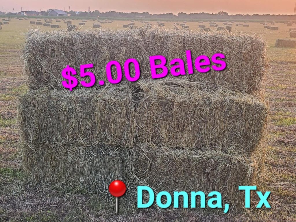 SQUARE HAY BALES