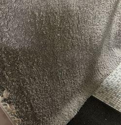 Belleza 5'3" x 7' Gray Machine Made Polypropylene Rug