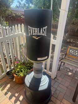 Everlast punching bag